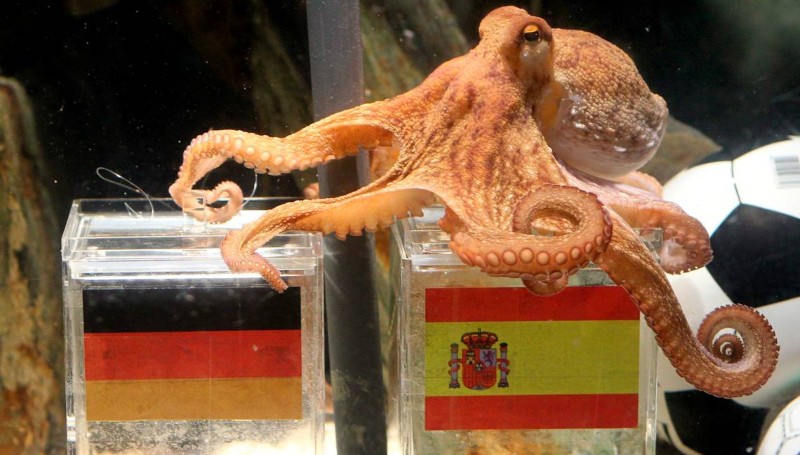 Pulpo Paul predijo la victoria de España en el Mundial Sudáfrica 2010.