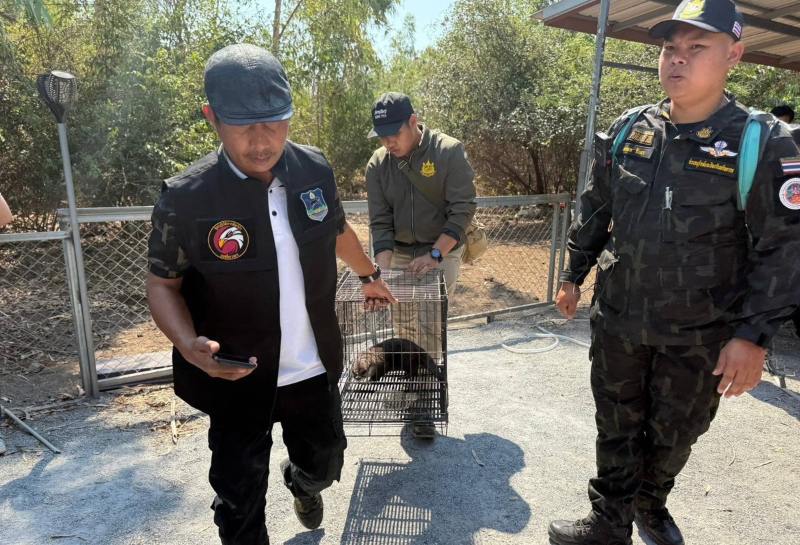 Detenido reconocido naturalista por posesión ilegal de animales en Tailandia