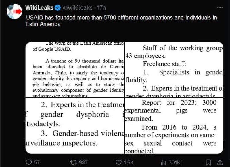 USAID financiaba el programa de transexualidad en cerdos