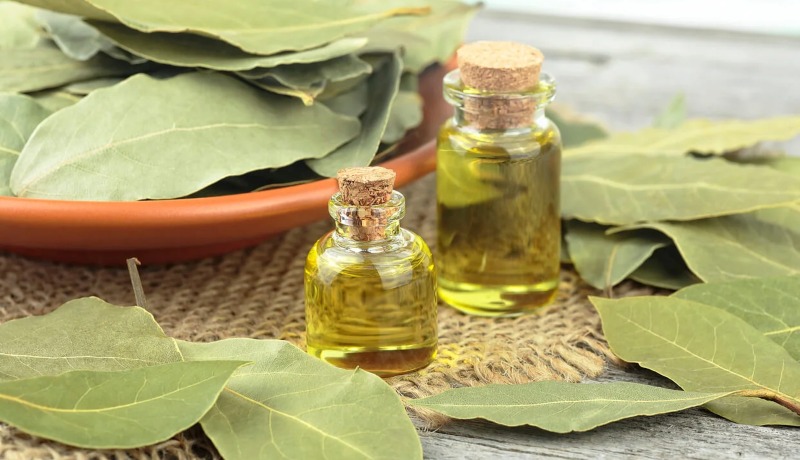 Sepa cual es el aceite que evita la caída del cabello