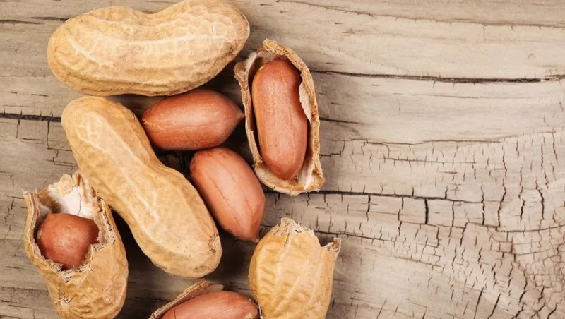 El maní pertenece a la familia de los fruto seco