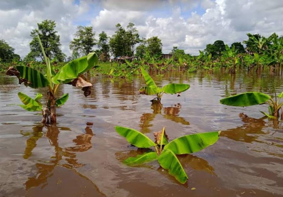 Fedenaga: Pérdidas por inundaciones al sur del Lago pudieron evitarse