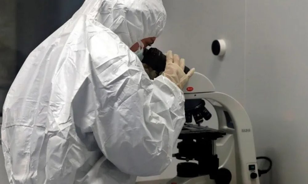Adenovirus F41: el virus que causaría la hepatitis en niños
