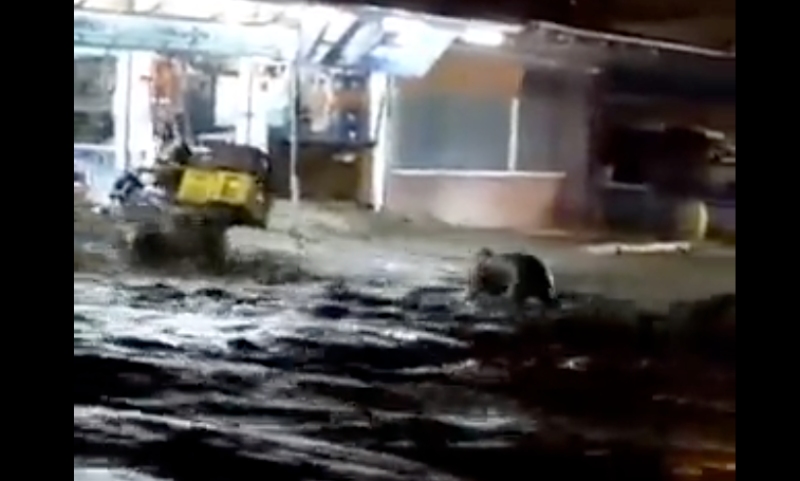 TÁCHIRA: Se desbordó quebrada La Chicharronera en Capacho +VIDEO