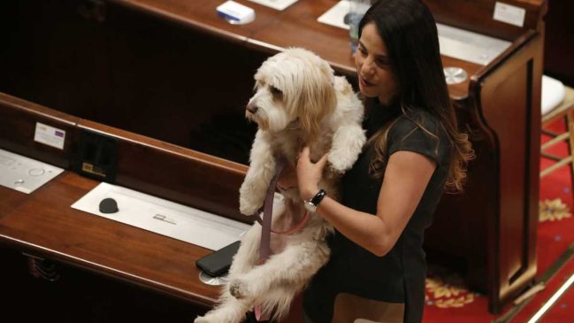 congresista