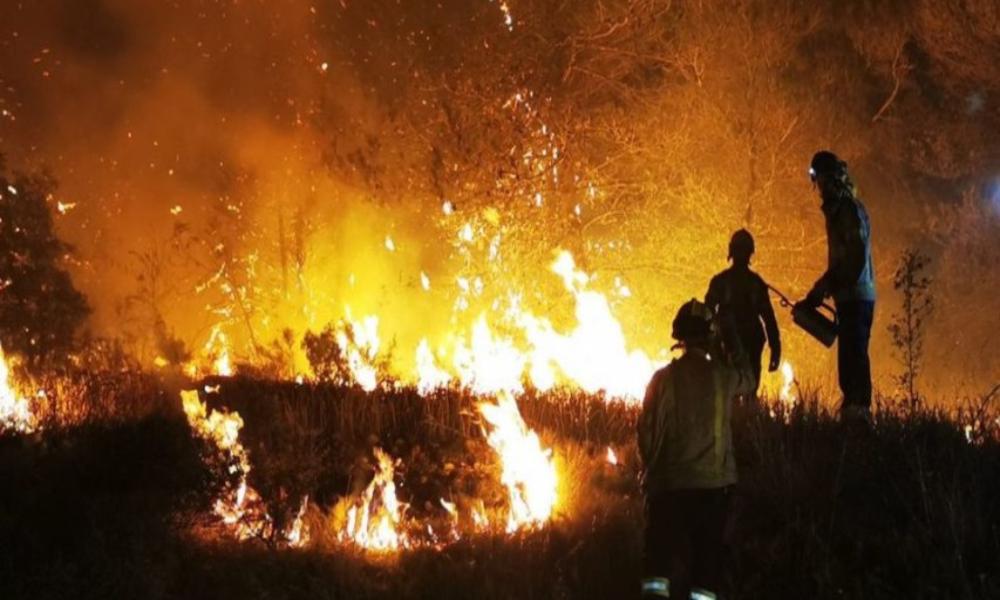Europa registra cientos de miles de hectáreas arrasadas por los incendios forestales