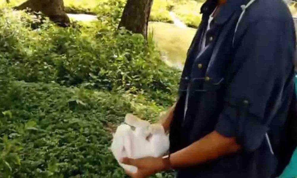 Indignación: lanzó un conejo a laguna para que caimanes lo devoraran (+VIDEO)