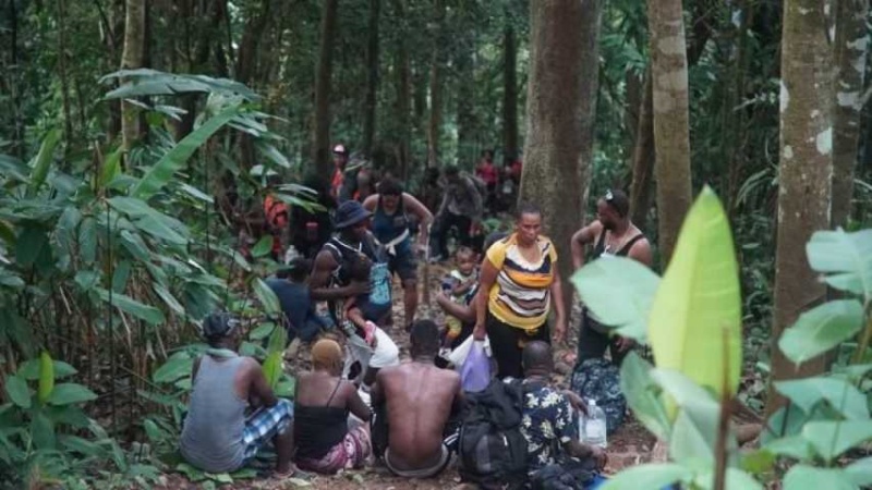 Más de 500 migrantes entran a diario a Panamá por la Selva del Darién