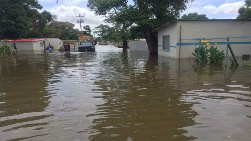 Zulia: Más de 15.000 hectáreas afectadas por intensas lluvias