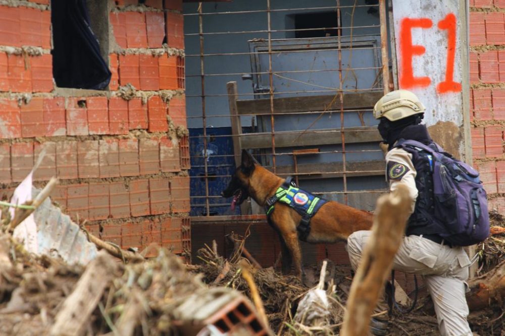 Unidad canina rescató a cinco personas vivas en Las Tejerías
