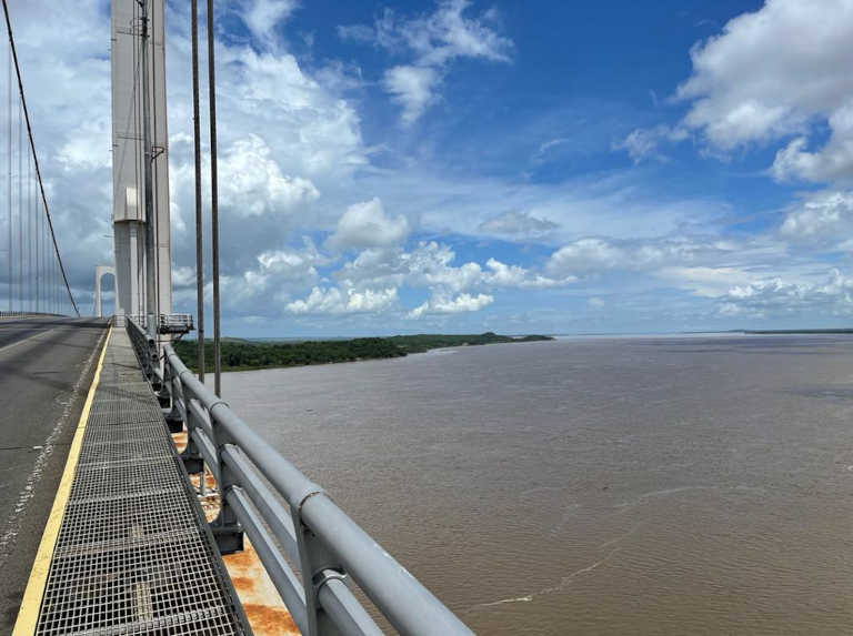 Pescador cayó al río Orinoco y fue devorado por pirañas