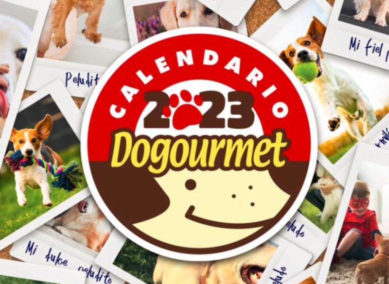 El calendario Dogourmet 2023 ya está disponible en versión digital