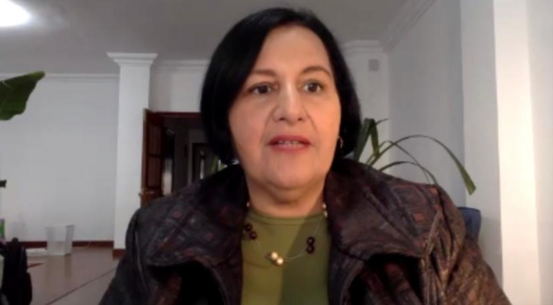 Dinorah Figuera presentó plan de acción del Asamblea Nacional 2015