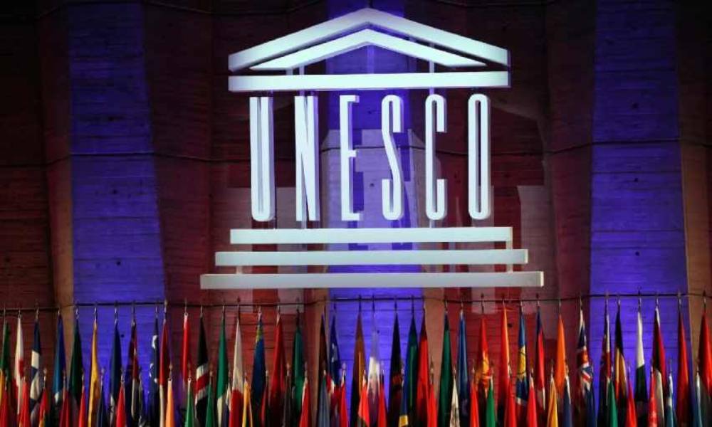 Unesco busca escribir reglas de un internet basado en los derechos humanos