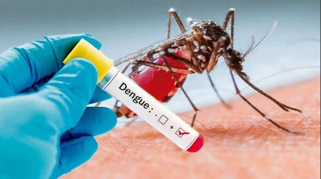 Emergencia en 20 regiones de Perú por casos de dengue