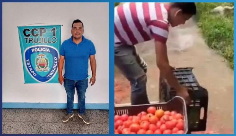 Detenido otro agricultor por botar tomates ante escasez de gasolina