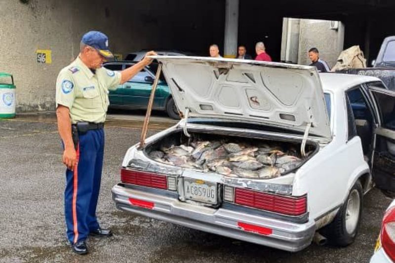 Tres detenidos por vender pescado podrido en Petare +FOTOS