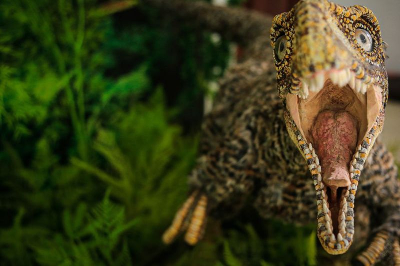 Museo de Ciencias expone "dinosaurio venezolano" que vivió hace 201 millones de años