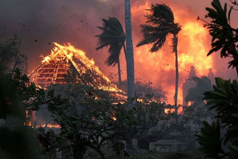 "Situación de desastre" en Hawai por incendios forestales +VIDEO