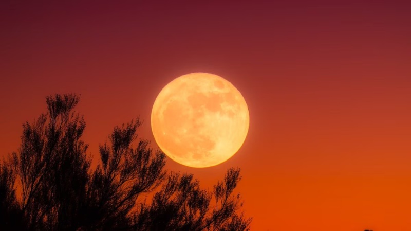 Luna de cosecha: todo lo que debes saber sobre la última superluna de 2023