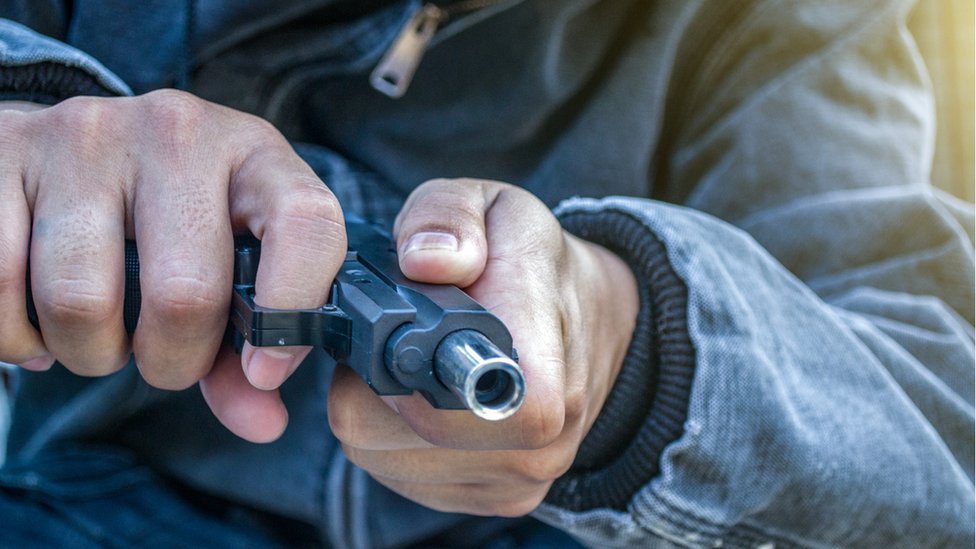 Militar mató a tiros a un mono por dañar el pesebre del comando en Mérida