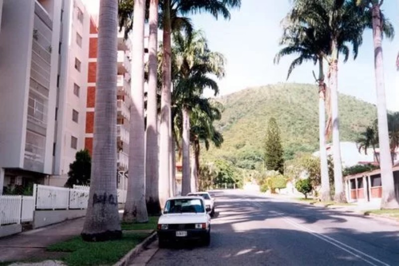 Murió docente al caer de un octavo piso en Valencia