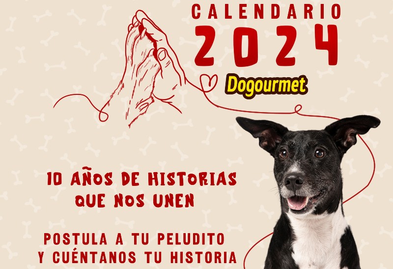 Dogourmet activa postulaciones para la 10ma edición del calendario canino