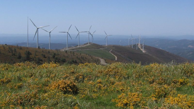 ¡Récord mundial! Portugal logra funcionar 6 días solo con energías renovables