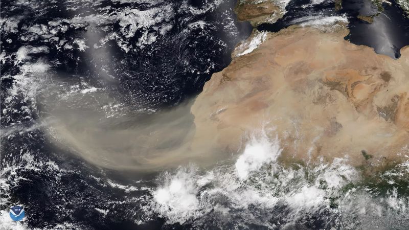 Polvo del Sahara llegó a Venezuela: lo que debes saber