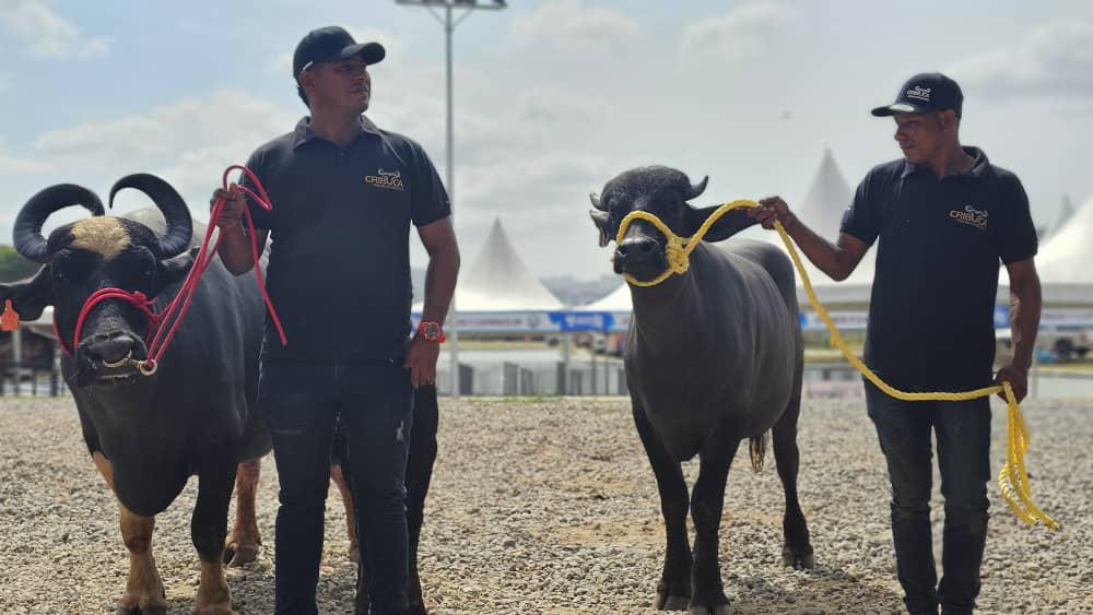 Expoferia Agropecuaria Miranda 2024: exposición del campo en Caracas