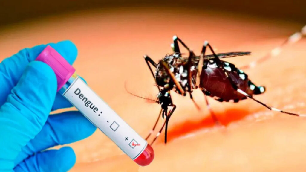Récord histórico: Brasil reporta casi 2 millones de casos de dengue