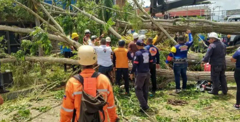 Dos muertos y 4 heridos al desplomarse árbol en Delta Amacuro