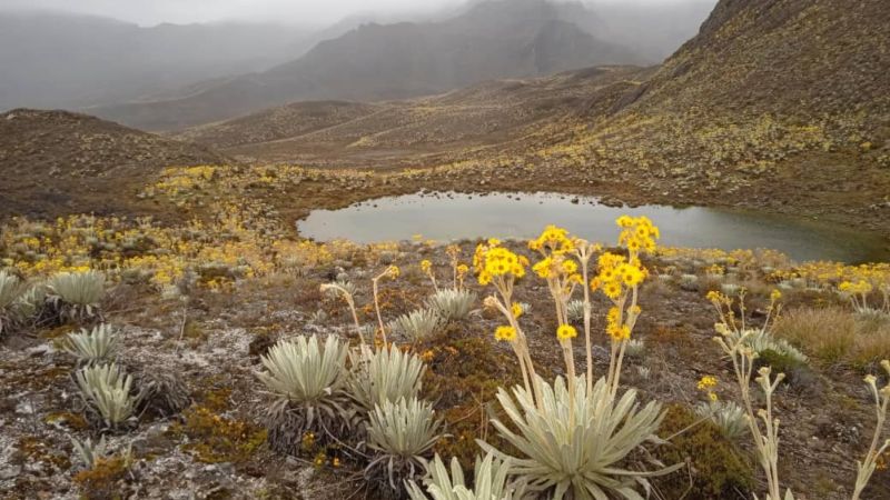 Rescatan a dos turistas que se extraviaron en el páramo merideño