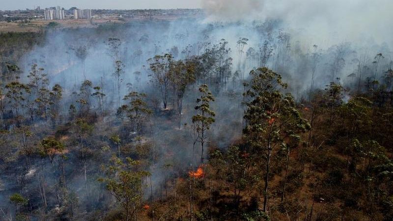 Promedio histórico: Brasil registró 80.000 incendios forestales en septiembre