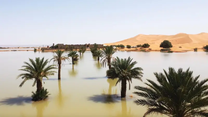 Inundación del Desierto del Sahara impactan al mundo +FOTOS