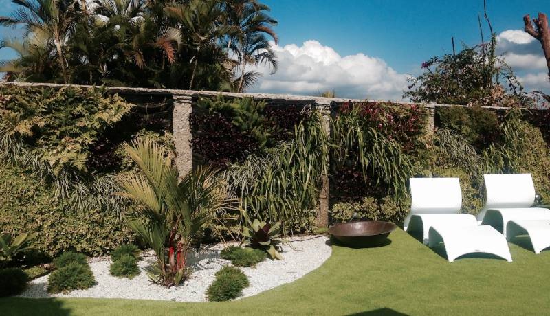 Sprickle Green: especialistas en paredes vegetales y jardines verticales