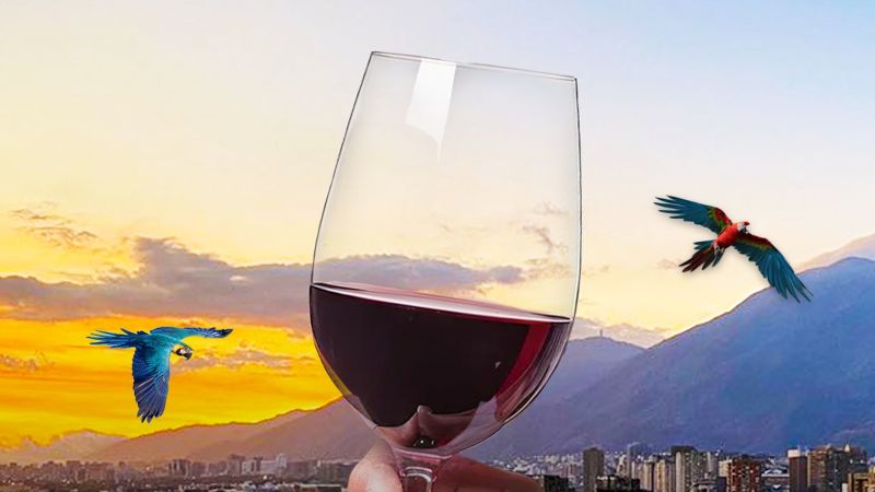 “El Vino Toma Caracas” el próximo 24, 25 y 26 de octubre