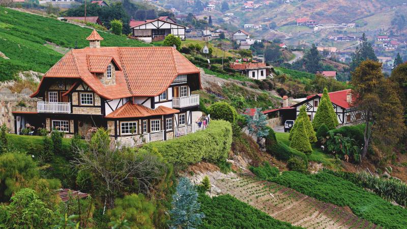 Los lugares cerca de Caracas para disfrutar esta navidad +Detalles