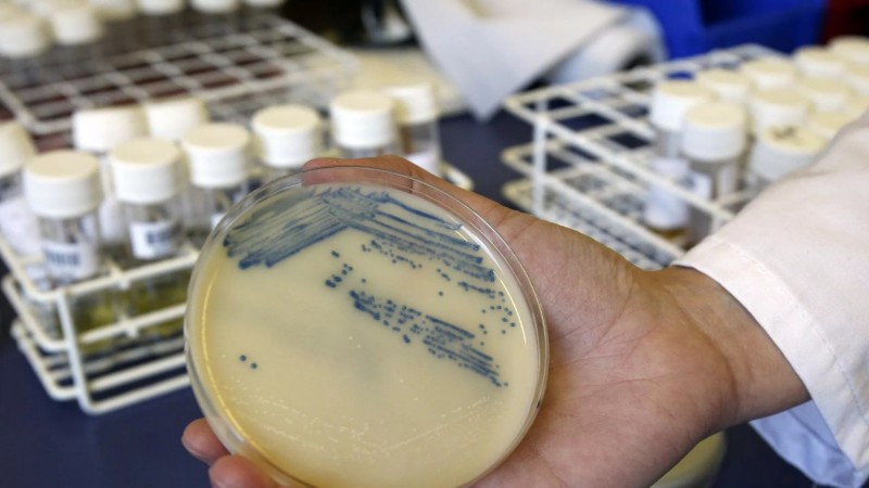 "Superbacterias" causarían hasta 40 millones de muertes en los próximos años