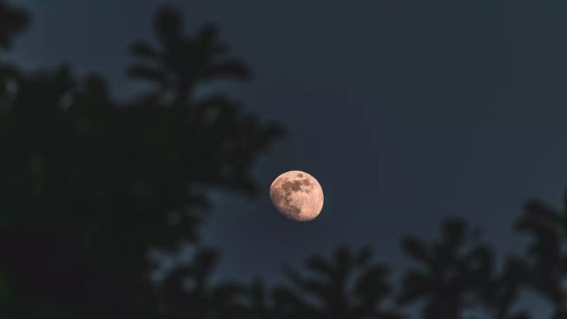 El significado de la Luna del Lobo y cuándo verla