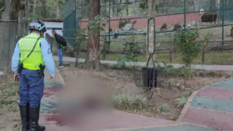 Vigilante ebrio perdió el brazo por acariciar leones en Mérida
