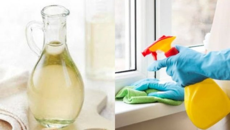 El concentrado casero con vinagre para eliminar insectos
