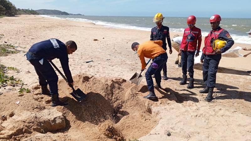Localizan otro delfín muerto en Sucre: ya son 22 los casos