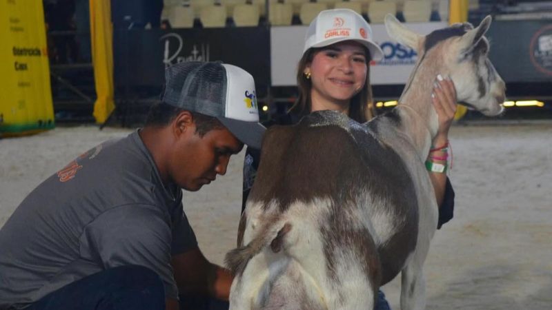 La cabra que rompió récord de producción de leche en Venezuela