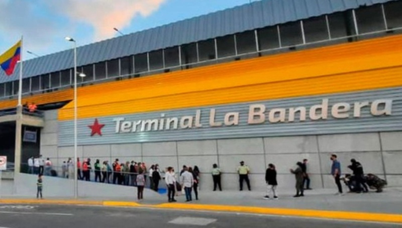 Los requisitos para viajar con tu mascota desde el terminal La Bandera