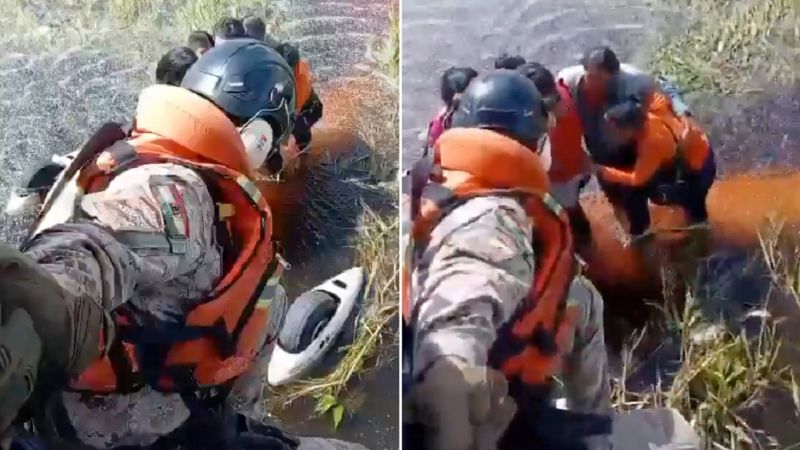 Cayeron en un pantano lleno de caimanes tras accidente aéreo +VIDEO
