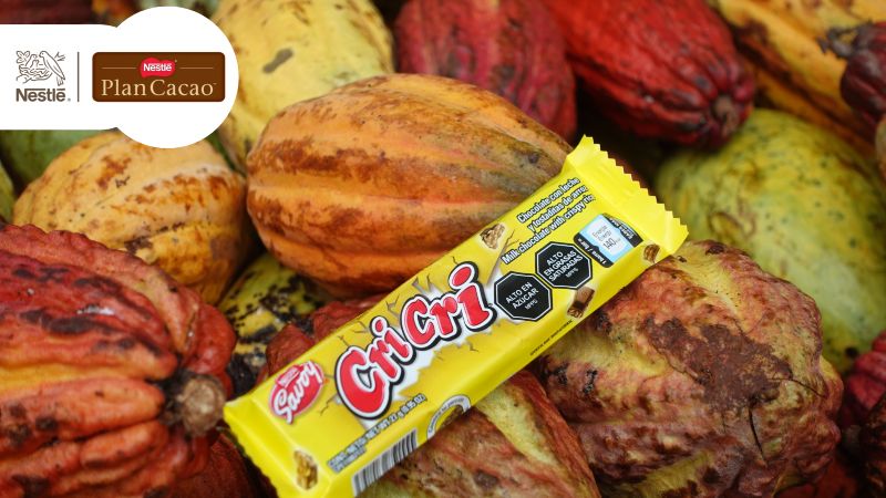 Más de 3 mil productores son beneficiados con el Plan Cacao Nestlé