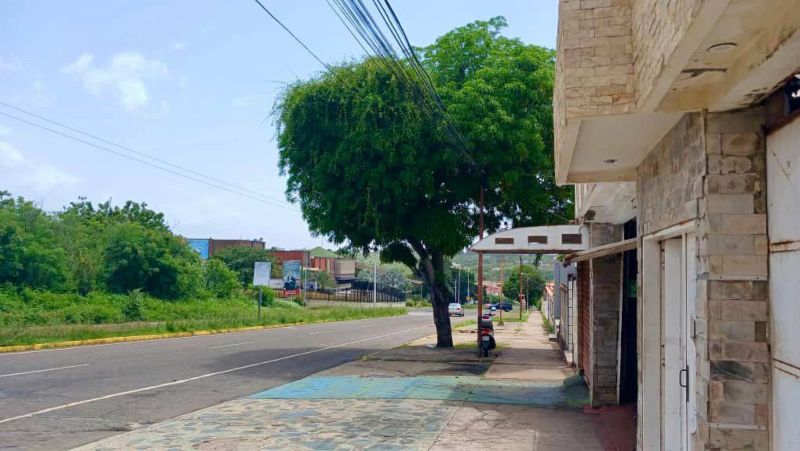 Delincuentes envenenaron a dos perros en Puerto Ordaz para robarse unos cables