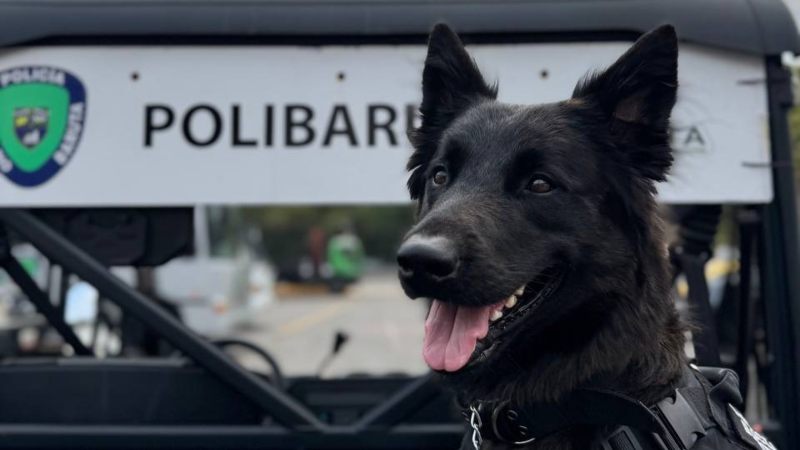 Policía de Baruta creó Brigada Canina y de Protección Animal
