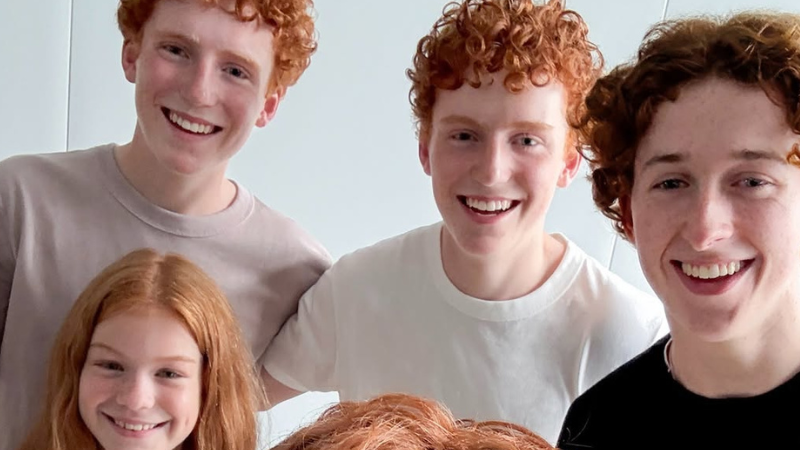 Familia Weasley serie de Harry Potter